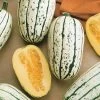 Delicata Organic Winter Squash Seeds 1 Delicata Organic Winter Squash Seeds -Botanical Bliss 52702 pk p1