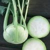 Konan Hybrid Kohlrabi Seeds -Botanical Bliss 52709 pk p1