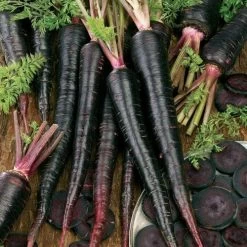 Black Nebula Heirloom Carrot Seeds