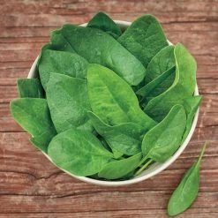 Baby Leaf Riverside Spinach Seeds (P)Ā Pkt Of 200 Seeds