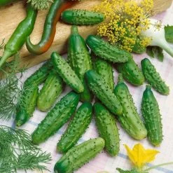 Parisian Organic Hybrid Gherkin Cucumber Seeds