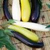 Fingerling Blend Eggplant Seeds 1 Fingerling Blend Eggplant Seeds -Botanical Bliss 52734 pk p1