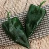 Trident Hybrid Pepper Seeds