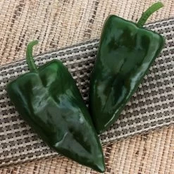 Trident Hybrid Pepper Seeds