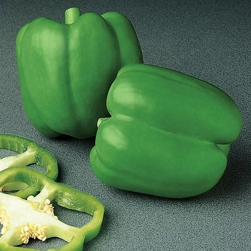 Encore Hybrid Pepper Seeds 3 Encore Hybrid Pepper Seeds