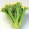 Fioretto 60 Cauliflower Seeds 2 Fioretto 60 Cauliflower Seeds -Botanical Bliss 52780 PK P1