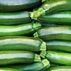 Dark Green Heirloom Zucchini Squash Seeds -Botanical Bliss 52790 PK P1