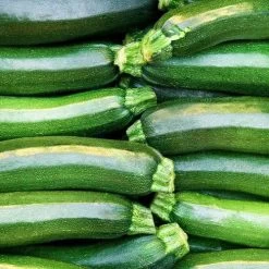 Dark Green Heirloom Zucchini Squash Seeds