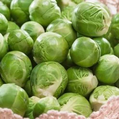 Catskill Brussels Sprouts Seeds