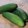 Park's Whopper II Hybrid Cucumber Seeds (P) Pkt Of 20 Seeds -Botanical Bliss 52803 pk p1