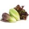 Park Seed Organic Tricolor Romaine Blend Seeds 1 Park Seed Organic Tricolor Romaine Blend Seeds -Botanical Bliss 52809 pk p1