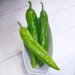 Desperado Hybrid Pepper Seeds -Botanical Bliss 52814 PK P1 2
