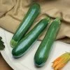 Spineless Perfection Zucchini Seeds -Botanical Bliss 52817 pk p1