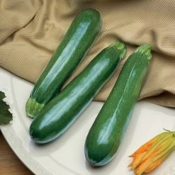 Spineless Perfection Zucchini Seeds