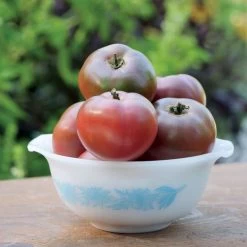 Purple Boy Hybrid Tomato Seeds (P) Pkt Of 10 Seeds 10 Purple Boy Hybrid Tomato Seeds (P) Pkt Of 10 Seeds -Botanical Bliss 52823 PK P1 3