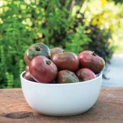 Purple Boy Hybrid Tomato Seeds -Botanical Bliss 52823 4