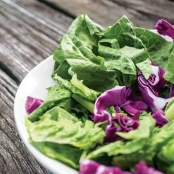 Park's Italian Salad Mix Seeds