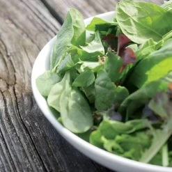 Park Seed Spinach Salad Blend Seeds