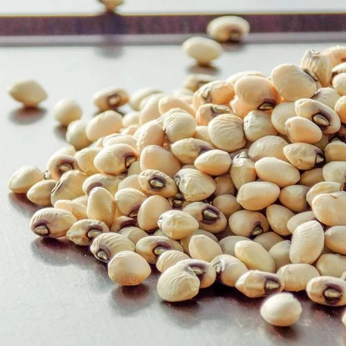 Coronet Cowpea Seeds 3 Coronet Cowpea Seeds