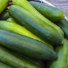 Paraiso Organic Cucumber Seeds -Botanical Bliss 52859 PK P1