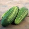 Excelsior Organic Cucumber Seeds -Botanical Bliss 52860 PK P1