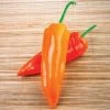Oranos Organic Pepper Seeds -Botanical Bliss 52861 PK P1