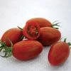 Bronze Torch F1 Grape Tomato Seeds (P) Pkt Of 10 Seeds -Botanical Bliss 52866 PK P1