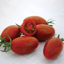 Bronze Torch F1 Grape Tomato Seeds (P) Pkt Of 10 Seeds