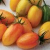 Artisan - Blush Organic Hybrid Cherry Tomato Seeds 2 Artisan - Blush Organic Hybrid Cherry Tomato Seeds -Botanical Bliss 52868 PK P1
