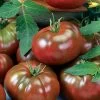 Chef's Choice Black Tomato Seeds -Botanical Bliss 52885 PK P1