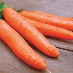 Little Finger Organic Carrot Seeds