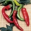 Anaheim Organic Pepper Seeds -Botanical Bliss 52900