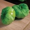 Super Verde Hybrid Tomatillo Seeds -Botanical Bliss 52916 PK P1