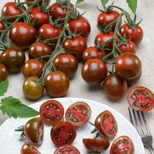 Gum Drop Black F1 Hybrid Cherry Tomato Seeds 3 Gum Drop Black F1 Hybrid Cherry Tomato Seeds