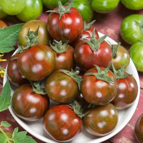 Gum Drop Brown F1 Hybrid Cherry Tomato Seeds 3 Gum Drop Brown F1 Hybrid Cherry Tomato Seeds