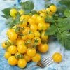 Lemon Drop Improved F1 Hybrid Cherry Tomato Seeds -Botanical Bliss 52924 PK P1