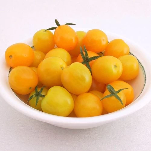 Esterina F1 Organic Cherry Tomato Seeds 3 Esterina F1 Organic Cherry Tomato Seeds
