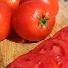 Big Beef Plus Tomato Seeds 1 Big Beef Plus Tomato Seeds -Botanical Bliss 52931