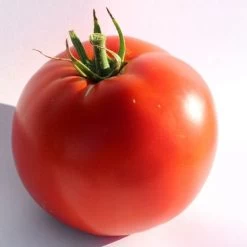 Big Beef Plus Tomato Seeds -Botanical Bliss 52931 2