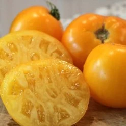 Lemon Boy Plus Hybrid Tomato Seeds
