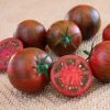 Purple Zebra Tomato Seeds
