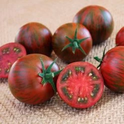 Purple Zebra Tomato Seeds
