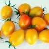 Sunset Torch Tomato Seeds 1 Sunset Torch Tomato Seeds -Botanical Bliss 52936 PK P1