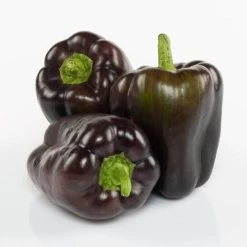 Dragonfly F1 Pepper Seeds