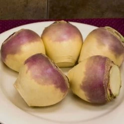 Laurentian Rutabaga Seeds -Botanical Bliss 52944 PK P1 1