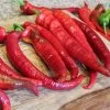 Wildcat Cayenne Pepper Seeds -Botanical Bliss 52964 PK P1