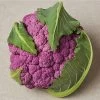 DePurple Cauliflower Seeds 1 DePurple Cauliflower Seeds -Botanical Bliss 52965 PK P1