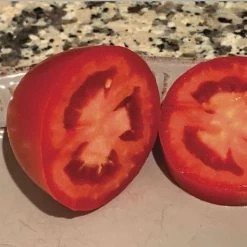 Zenzei Tomato Seeds -Botanical Bliss 52968 2