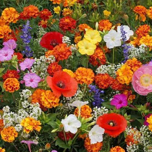 Deer Resistant Seed Mixture 4 Deer Resistant Seed Mixture - Image 2