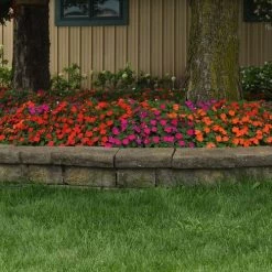 Beacon® Sanibel Mixture Hybrid Impatiens Seeds 8 Beacon® Sanibel Mixture Hybrid Impatiens Seeds -Botanical Bliss 54050 PK 500 1